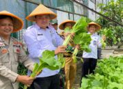 Dukung Program Ketahanan Pangan Nasional, Kabapas Muratara Hadiri Panen Raya Sayuran di Lapas Surulangun Rawas