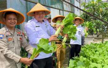 Dukung Program Ketahanan Pangan Nasional, Kabapas Muratara Hadiri Panen Raya Sayuran di Lapas Surulangun Rawas